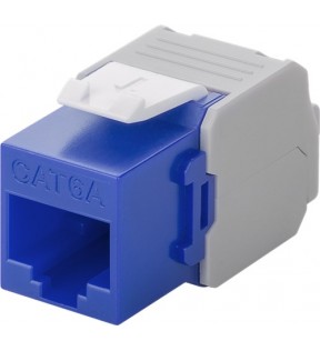 Keystone module RJ45 CAT 6ₐ, UTP, blue - 17.1 mm width, crocodile type, for IDC connectors (toolless)
